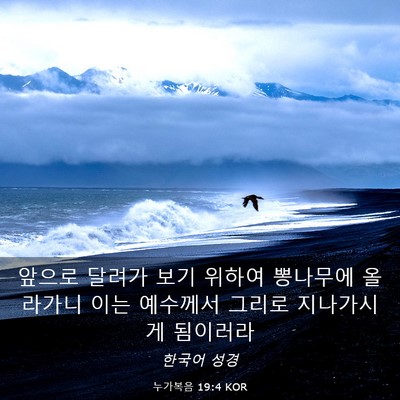 Picture 03 - 누가복음 19:4 KOR - 앞으로 달려가 보기 위하여 뽕나무에 - Bible Verse Picture