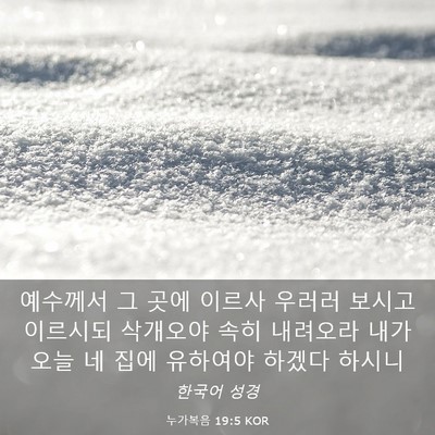 Picture 03 - 누가복음 19:5 KOR - 예수께서 그 곳에 이르사 우러러 - Bible Verse Picture