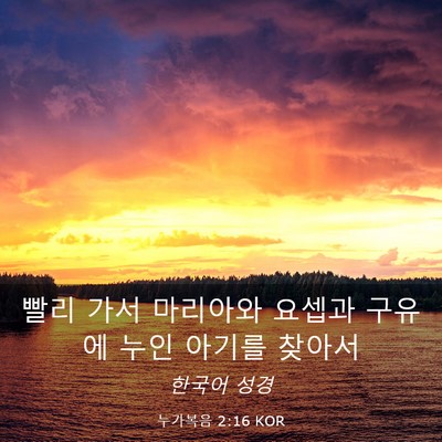 Picture 03 - 누가복음 2:16 KOR - 빨리 가서 마리아와 요셉과 구유에 - Bible Verse Picture