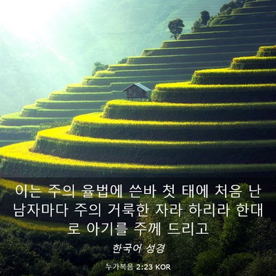 Picture 03 - 누가복음 2:23 KOR - 이는 주의 율법에 쓴바 첫 태에 처음 - Bible Verse Picture