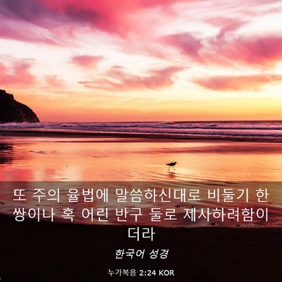 Picture 03 - 누가복음 2:24 KOR - 또 주의 율법에 말씀하신대로 비둘기 - Bible Verse Picture