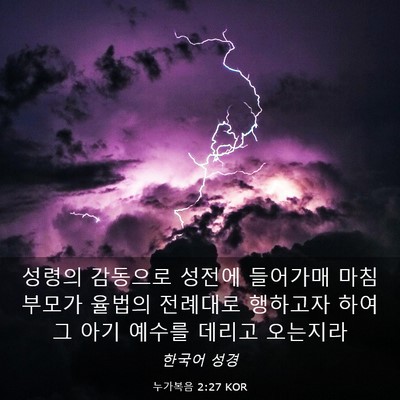 Picture 03 - 누가복음 2:27 KOR - 성령의 감동으로 성전에 들어가매 - Bible Verse Picture