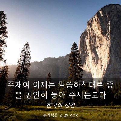 Picture 03 - 누가복음 2:29 KOR - 주재여 이제는 말씀하신대로 종을 - Bible Verse Picture