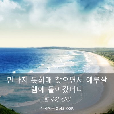 Picture 03 - 누가복음 2:45 KOR - 만나지 못하매 찾으면서 예루살렘에 - Bible Verse Picture