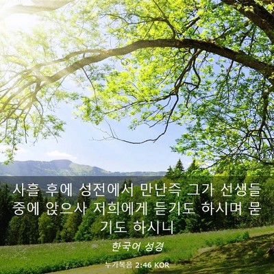 Picture 03 - 누가복음 2:46 KOR - 사흘 후에 성전에서 만난즉 그가 - Bible Verse Picture