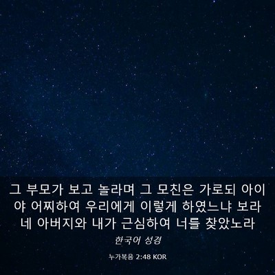 Picture 03 - 누가복음 2:48 KOR - 그 부모가 보고 놀라며 그 모친은 - Bible Verse Picture