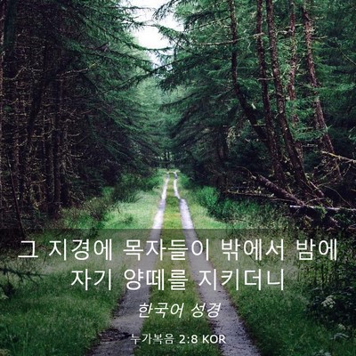 Picture 03 - 누가복음 2:8 KOR - 그 지경에 목자들이 밖에서 밤에 - Bible Verse Picture