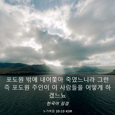 Picture 03 - 누가복음 20:15 KOR - 포도원 밖에 내어쫓아 죽였느니라 - Bible Verse Picture