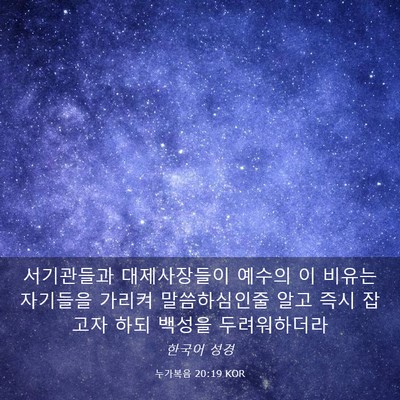 Picture 03 - 누가복음 20:19 KOR - 서기관들과 대제사장들이 예수의 이 - Bible Verse Picture