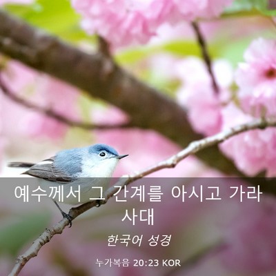 Picture 03 - 누가복음 20:23 KOR - 예수께서 그 간계를 아시고 - Bible Verse Picture