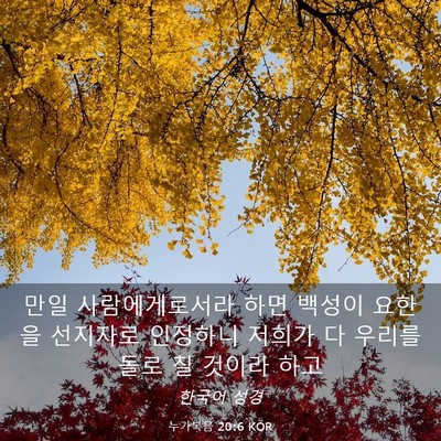 Picture 03 - 누가복음 20:6 KOR - 만일 사람에게로서라 하면 백성이 - Bible Verse Picture