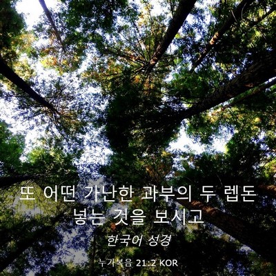 Picture 03 - 누가복음 21:2 KOR - 또 어떤 가난한 과부의 두 렙돈 넣는 - Bible Verse Picture