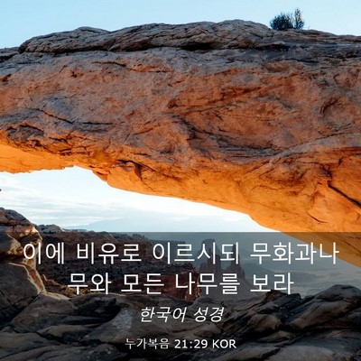 Picture 03 - 누가복음 21:29 KOR - 이에 비유로 이르시되 무화과나무와 - Bible Verse Picture