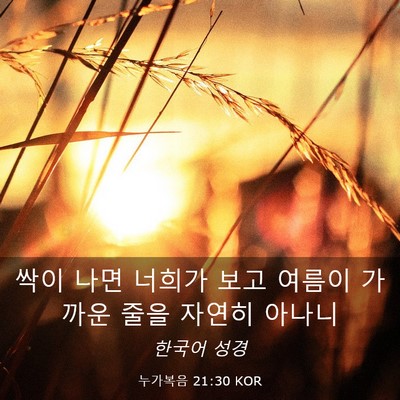 Picture 03 - 누가복음 21:30 KOR - 싹이 나면 너희가 보고 여름이 - Bible Verse Picture