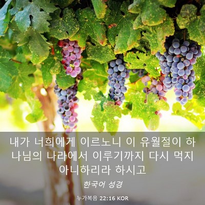 Picture 03 - 누가복음 22:16 KOR - 내가 너희에게 이르노니 이 유월절이 - Bible Verse Picture