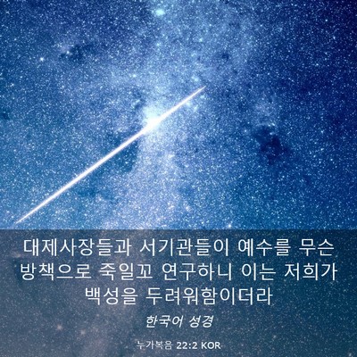 Picture 03 - 누가복음 22:2 KOR - 대제사장들과 서기관들이 예수를 - Bible Verse Picture