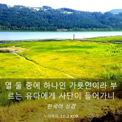 Picture 03 - 누가복음 22:3 KOR - 열 둘 중에 하나인 가룟인이라 - Bible Verse Picture