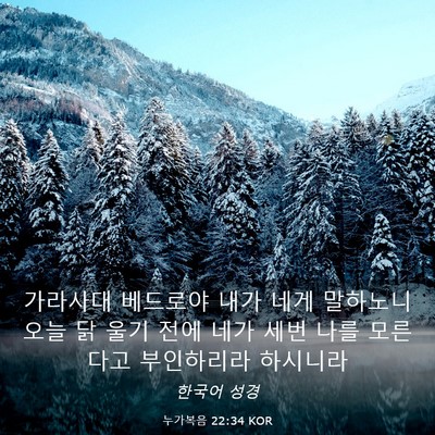Picture 03 - 누가복음 22:34 KOR - 가라사대 베드로야 내가 네게 - Bible Verse Picture