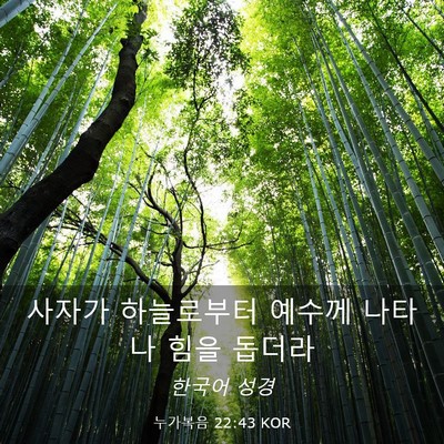 Picture 03 - 누가복음 22:43 KOR - 사자가 하늘로부터 예수께 나타나 - Bible Verse Picture