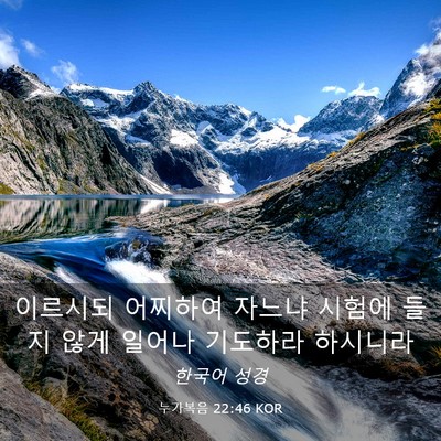 Picture 03 - 누가복음 22:46 KOR - 이르시되 어찌하여 자느냐 시험에 - Bible Verse Picture