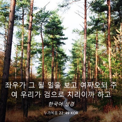Picture 03 - 누가복음 22:49 KOR - 좌우가 그 될 일을 보고 여짜오되 - Bible Verse Picture
