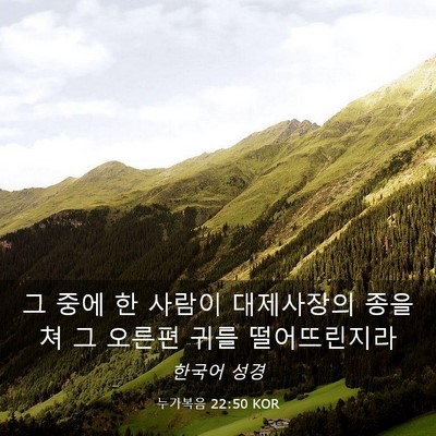 Picture 03 - 누가복음 22:50 KOR - 그 중에 한 사람이 대제사장의 종을 - Bible Verse Picture