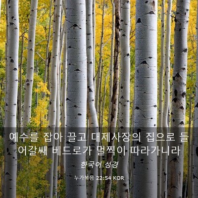Picture 03 - 누가복음 22:54 KOR - 예수를 잡아 끌고 대제사장의 집으로 - Bible Verse Picture
