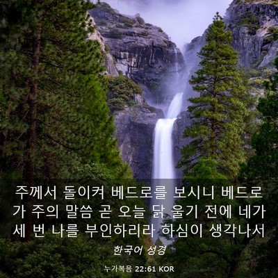 Picture 03 - 누가복음 22:61 KOR - 주께서 돌이켜 베드로를 보시니 - Bible Verse Picture