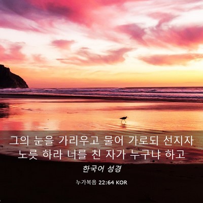 Picture 03 - 누가복음 22:64 KOR - 그의 눈을 가리우고 물어 가로되 - Bible Verse Picture