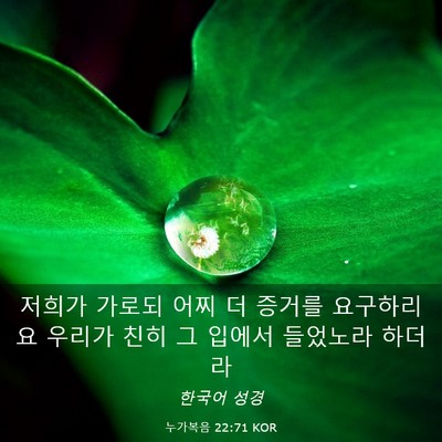 Picture 03 - 누가복음 22:71 KOR - 저희가 가로되 어찌 더 증거를 - Bible Verse Picture