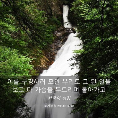 Picture 03 - 누가복음 23:48 KOR - 이를 구경하러 모인 무리도 그 된 - Bible Verse Picture