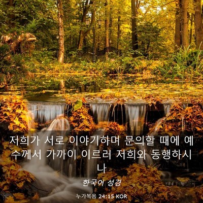 Picture 03 - 누가복음 24:15 KOR - 저희가 서로 이야기하며 문의할 때에 - Bible Verse Picture