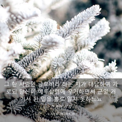 Picture 03 - 누가복음 24:18 KOR - 그 한 사람인 글로바라 하는 자가 - Bible Verse Picture