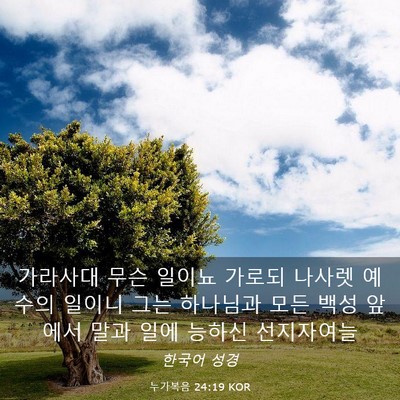 Picture 03 - 누가복음 24:19 KOR - 가라사대 무슨 일이뇨 가로되 나사렛 - Bible Verse Picture