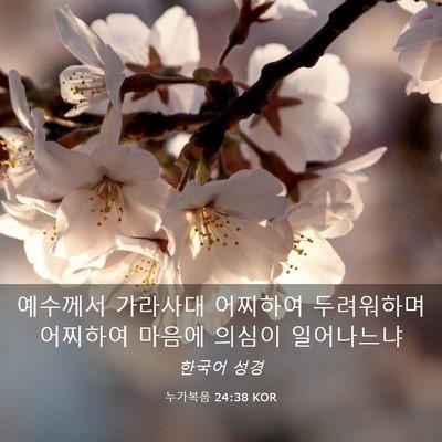 Picture 03 - 누가복음 24:38 KOR - 예수께서 가라사대 어찌하여 - Bible Verse Picture