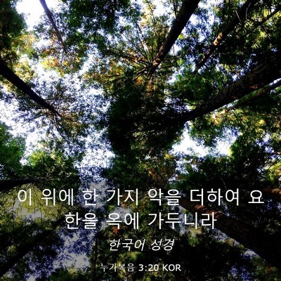 Picture 03 - 누가복음 3:20 KOR - 이 위에 한 가지 악을 더하여 요한을 - Bible Verse Picture