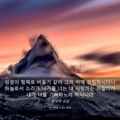 Picture 03 - 누가복음 3:22 KOR - 성령이 형체로 비둘기 같이 그의 - Bible Verse Picture