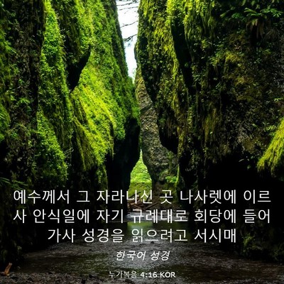 Picture 03 - 누가복음 4:16 KOR - 예수께서 그 자라나신 곳 나사렛에 - Bible Verse Picture