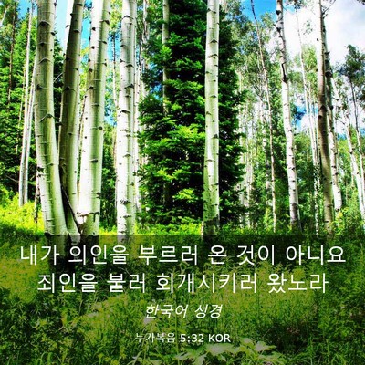 Picture 03 - 누가복음 5:32 KOR - 내가 의인을 부르러 온 것이 아니요 - Bible Verse Picture