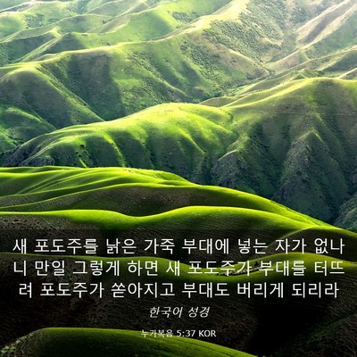 Picture 03 - 누가복음 5:37 KOR - 새 포도주를 낡은 가죽 부대에 넣는 - Bible Verse Picture