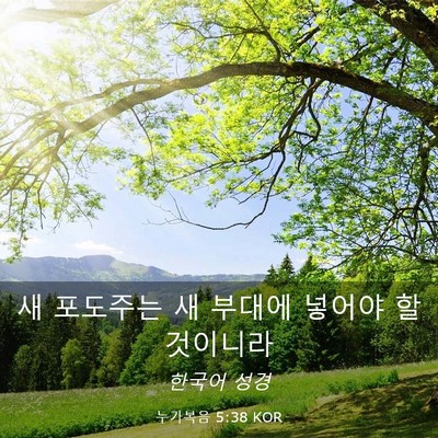 Picture 03 - 누가복음 5:38 KOR - 새 포도주는 새 부대에 넣어야 할 - Bible Verse Picture