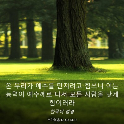 Picture 03 - 누가복음 6:19 KOR - 온 무리가 예수를 만지려고 힘쓰니 - Bible Verse Picture