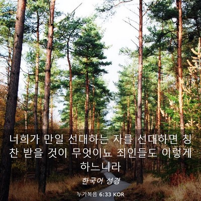 Picture 03 - 누가복음 6:33 KOR - 너희가 만일 선대하는 자를 선대하면 - Bible Verse Picture