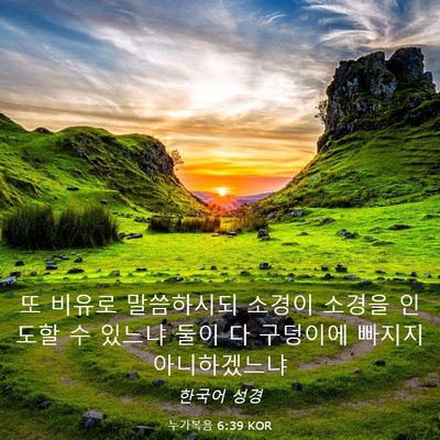 Picture 03 - 누가복음 6:39 KOR - 또 비유로 말씀하시되 소경이 소경을 - Bible Verse Picture
