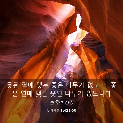Picture 03 - 누가복음 6:43 KOR - 못된 열매 맺는 좋은 나무가 없고 또 - Bible Verse Picture