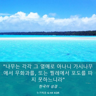Picture 03 - 누가복음 6:44 KOR - 
