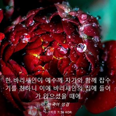 Picture 03 - 누가복음 7:36 KOR - 한 바리새인이 예수께 자기와 함께 - Bible Verse Picture
