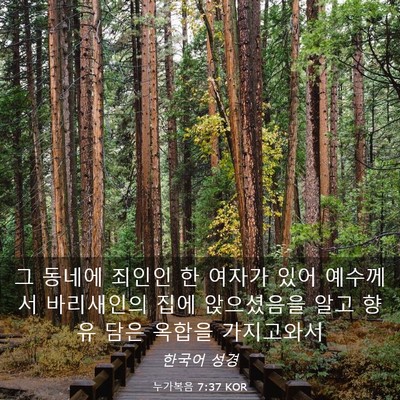 Picture 03 - 누가복음 7:37 KOR - 그 동네에 죄인인 한 여자가 있어 - Bible Verse Picture