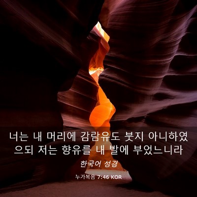 Picture 03 - 누가복음 7:46 KOR - 너는 내 머리에 감람유도 붓지 - Bible Verse Picture