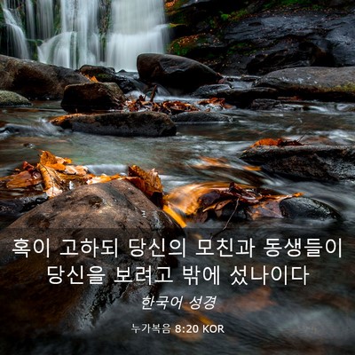 Picture 03 - 누가복음 8:20 KOR - 혹이 고하되 당신의 모친과 동생들이 - Bible Verse Picture